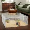 Frisco Wire Small Pet Playpen with Door, 15-in 1 Frisco Wire Small Pet Playpen with Door, 15-in -Dog Cat Corner 297212 MAIN. SY630 V1633378316