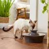 Frisco Ceramic Dog & Cat Fountain, Gray, 64-oz 1 Frisco Ceramic Dog & Cat Fountain, Gray, 64-oz -Dog Cat Corner 297218 MAIN. SY630 V1633549648