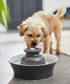 Frisco Ceramic Dog & Cat Fountain, Gray, 64-oz -Dog Cat Corner 297218 PT4. SY630 V1633549585