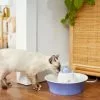 Frisco Ceramic Whale Dog & Cat Water Fountain, Blue, 64-oz -Dog Cat Corner 297220 MAIN. SY630 V1633549636