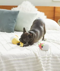 Frisco Brunch Bottomless Mimosas Plush Squeaky Dog Toy, 2 count -Dog Cat Corner 297226 PT2. SY630 V1642088368