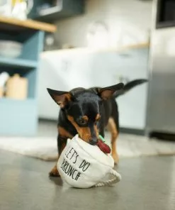 Frisco Brunch Coffee Plush with Rope Squeaky Dog Toy -Dog Cat Corner 297230 PT2. SY630 V1642088565