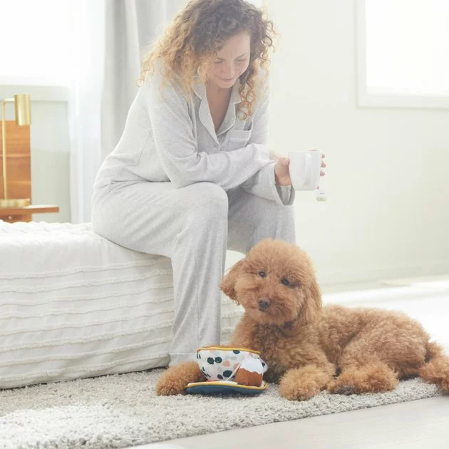 Frisco Brunch Teacup Plush Squeaky Dog Toy 5 Frisco Brunch Teacup Plush Squeaky Dog Toy - Image 3