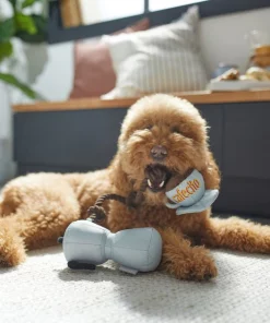 Frisco Brunch Coffee Pitcher Plush with Rope Squeaky Dog Toy -Dog Cat Corner 297234 PT2. SY630 V1642088693