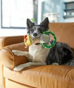 Frisco Brunch Breakfast Burrito Plush with Rope Squeaky Dog Toy -Dog Cat Corner 297238 PT2. SY630 V1642088670