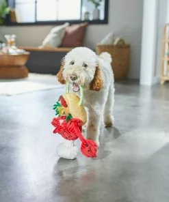 Frisco Brunch Lobster Roll Plush with Rope Squeaky Dog Toy -Dog Cat Corner 297240 PT2. SY630 V1642088431
