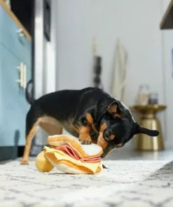 Frisco Brunch Egg in Hole 2-in-1 Plush Squeaky Dog Toy 9 Frisco Brunch Egg in Hole 2-in-1 Plush Squeaky Dog Toy -Dog Cat Corner 297246 PT3. SY630 V1642089088