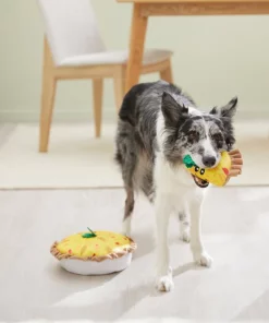 Frisco Brunch Quiche 2-in-1 Plush Squeaky Dog Toy -Dog Cat Corner 297248 PT3. SY630 V1642089163