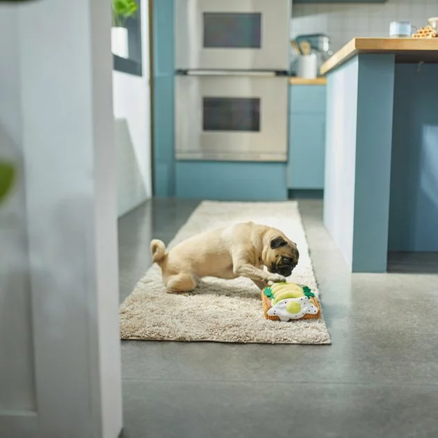 Frisco Brunch Avocado Toast Plush Squeaky Dog Toy 5 Frisco Brunch Avocado Toast Plush Squeaky Dog Toy - Image 3