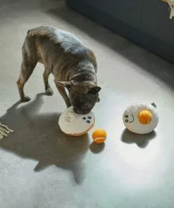 Frisco Brunch Egg in Hole 2-in-1 Plush with Tennis Ball Dog Toy -Dog Cat Corner 297254 PT2. SY630 V1642089027