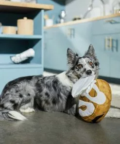 Frisco Brunch Cinnamon Roll Jumbo Plush Squeaky Dog Toy -Dog Cat Corner 297260 PT2. SY630 V1642089012