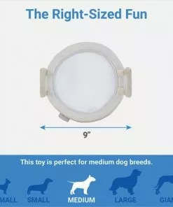 Frisco Brunch Pastry Tray Plush Squeaky Dog Toy, 4 count -Dog Cat Corner 297262 PT1. SY630 V1643916390