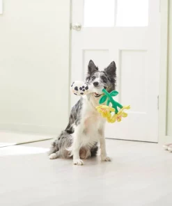 Frisco Brunch Flowers Plush Squeaky Dog Toy -Dog Cat Corner 297270 PT2. SY630 V1642088292