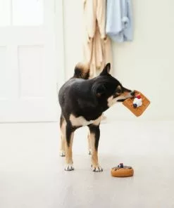 Frisco Brunch Pancake & Waffle Latex Squeaky Dog Toy, 2 count -Dog Cat Corner 297272 PT2. SY630 V1642089075