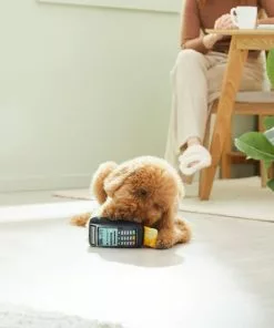 Frisco Brunch Credit Card & Machine Plush Squeaky Dog Toy -Dog Cat Corner 297274 PT2. SY630 V1642088452