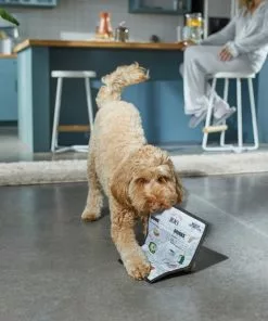 Frisco Brunch Menu Ballistic Nylon Flat Plush Squeaky Dog Toy -Dog Cat Corner 297276 PT2. SY630 V1642088788