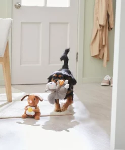 Frisco Brunch Dog & Squirrel Plush Squeaky Dog Toy, 2 count -Dog Cat Corner 297280 PT2. SY630 V1642088192