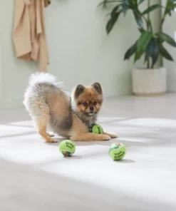 Frisco Brunch Fetch Squeaky Tennis Ball Dog Toy, 3 count 7 Frisco Brunch Fetch Squeaky Tennis Ball Dog Toy, 3 count -Dog Cat Corner 297284 PT2. SY630 V1642088214