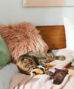 Frisco Brunch Bear & Fox Plush Cat Toy with Catnip, 2 count -Dog Cat Corner 297290 PT2. SY630 V1642088814