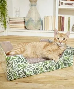 American Journey||Frisco American Journey Salmon Recipe Grain-Free Dry Cat Food, 12-lb bag + Frisco Step-In Cat Scratcher Toy with Catnip, Tropical Palms 15 American Journey||Frisco American Journey Salmon Recipe Grain-Free Dry Cat Food, 12-lb bag + Frisco Step-In Cat Scratcher Toy with Catnip, Tropical Palms -Dog Cat Corner 297820 PT6. SY630 V1623252150