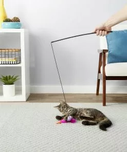 Blue Buffalo||Frisco Blue Buffalo Wilderness Chicken & Turkey Grain-Free Cat Treats, 2-oz bag + Frisco Bird Teaser with Feathers Cat Toy, Purple -Dog Cat Corner 297848 PT7. SY630 V1621300350