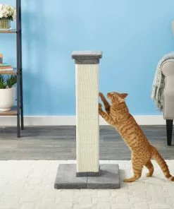 Frisco 33.5-in Sisal Cat Scratching Post, Gray + Frisco Sisal Mat, Medium -Dog Cat Corner 297950 PT3. SY630 V1622740107