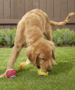 Frisco||The Lazy Dog Cookie Co. Frisco Fetch Squeaking Birthday Tennis Ball Dog Toy, 3-Pack + The Lazy Dog Cookie Co. Happy Birthday Pup-PIE Dog Treat, Boy -Dog Cat Corner 297958 PT3. SY630 V1621303653