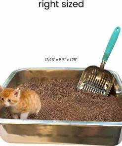 DurAnimals||Frisco DurAnimals DuraScoop Original Cat Litter Scoop, Color Varies + Frisco Flip Top Hooded Corner Cat Litter Box, Large, 21-in -Dog Cat Corner 297968 PT3. SY630 V1621305450