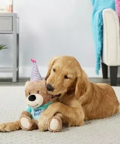 Frisco||The Lazy Dog Cookie Co. Frisco Plush Birthday Bear with Striped Hat Dog Toy + The Lazy Dog Cookie Co. Happy Birthday Pup-PIE Dog Treat, Boy -Dog Cat Corner 297994 PT3. SY630 V1621291043