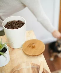 Friskies||Frisco Friskies Party Mix Natural Yums Catnip Flavor Cat Treats, 6-oz bag + Frisco Melamine Dog & Cat Treat Jar with Bamboo Lid, 8 Cups 15 Friskies||Frisco Friskies Party Mix Natural Yums Catnip Flavor Cat Treats, 6-oz bag + Frisco Melamine Dog & Cat Treat Jar with Bamboo Lid, 8 Cups -Dog Cat Corner 298032 PT6. SY630 V1621270357