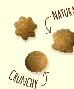 Friskies||Frisco Friskies Party Mix Natural Yums With Real Salmon Cat Treats, 6-oz pouch + Frisco Melamine Dog & Cat Treat Jar with Bamboo Lid, 8 Cups -Dog Cat Corner 298040 PT3. SY630 V1623251845