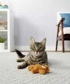 Instinct||Frisco Instinct Raw Boost Grain-Free Recipe with Real Chicken & Freeze-Dried Raw Coated Pieces Dry Cat Food, 10-lb bag + Frisco Refillable Catnip Cat Toy, Brown Squirrel 15 Instinct||Frisco Instinct Raw Boost Grain-Free Recipe with Real Chicken & Freeze-Dried Raw Coated Pieces Dry Cat Food, 10-lb bag + Frisco Refillable Catnip Cat Toy, Brown Squirrel -Dog Cat Corner 298152 PT6. SY630 V1623201461