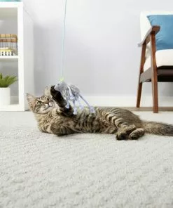 PureBites||Frisco PureBites Chicken Breast Freeze-Dried Raw Cat Treats, 2.3-oz bag + Frisco Bouncy Mouse Cat Toy, Blue -Dog Cat Corner 298414 PT5. SY630 V1623194253