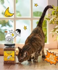 Tiny Tiger||Frisco Tiny Tiger Crunchy Bunch, Chicken Cannonball, Chicken Flavor Cat Treats, 20-oz Jar + Frisco Melamine Dog & Cat Treat Jar with Bamboo Lid, 8 Cups -Dog Cat Corner 298584 PT3. SY630 V1623197557