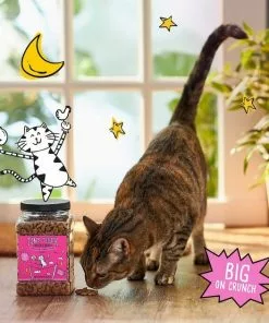 Tiny Tiger||Frisco Tiny Tiger Crunchy Bunch, Fearless Feathers and Gracious Gills, Chicken & Seafood Flavor Cat Treats, 20-oz Jar + Frisco Melamine Dog & Cat Treat Jar with Bamboo Lid, 8 Cups -Dog Cat Corner 298586 PT3. SY630 V1623202356