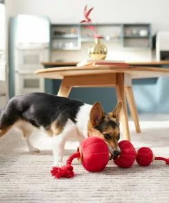 Frisco Lantern Plush with Rope Squeaky Dog Toy -Dog Cat Corner 298885 PT3. SY630 V1640269279