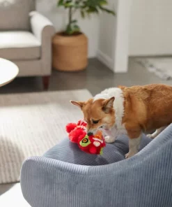 Frisco Dragon Bungee Plush Squeaky Dog Toy 7 Frisco Dragon Bungee Plush Squeaky Dog Toy -Dog Cat Corner 298887 PT3. SY630 V1640269125