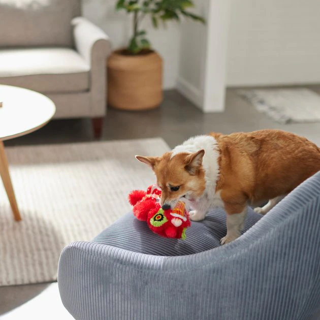 Frisco Dragon Bungee Plush Squeaky Dog Toy 5 Frisco Dragon Bungee Plush Squeaky Dog Toy - Image 3