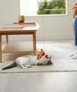 Frisco Flower & Koi Fish Teaser Cat Toy with Catnip 7 Frisco Flower & Koi Fish Teaser Cat Toy with Catnip -Dog Cat Corner 298895 PT3. SY630 V1640269154