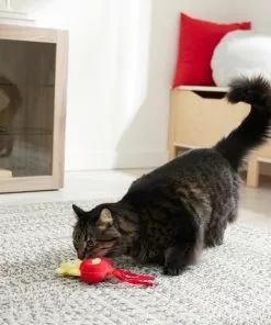 Frisco Lantern Tiger Plush Kicker Cat Toy with Catnip 7 Frisco Lantern Tiger Plush Kicker Cat Toy with Catnip -Dog Cat Corner 298905 PT3. SY630 V1640269170