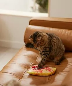 Frisco Fan Plush Squeaky Dog Toy 7 Frisco Fan Plush Squeaky Dog Toy -Dog Cat Corner 298911 PT3. SY630 V1640269039