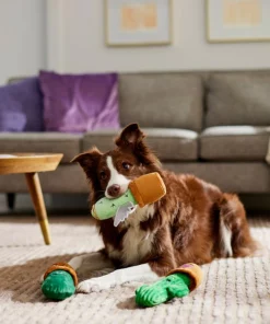 Frisco Cactus Plush Squeaky Dog Toy, 3 count -Dog Cat Corner 298921 PT3. SY630 V1638987259