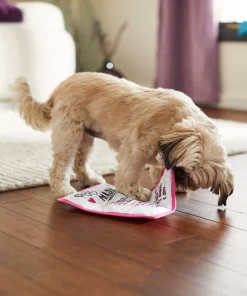 Frisco Valentine MASH Flat Plush Squeaky Dog Toy -Dog Cat Corner 298927 PT3. SY630 V1638987702