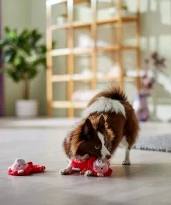 Frisco Lions Plush Squeaky Puppy Toy, 2 count -Dog Cat Corner 298935 PT3. SY630 V1638987670