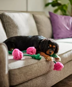 Frisco Roses Plush with Rope Squeaky Dog Toy, 3 count -Dog Cat Corner 298939 PT3. SY630 V1638987402