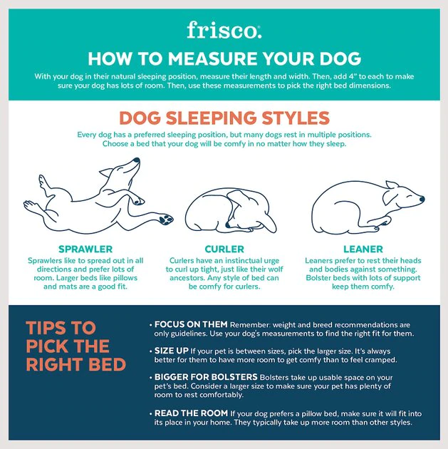 Frisco Ortho Lounger Dog & Cat Bed 5 Frisco Ortho Lounger Dog & Cat Bed - Image 3