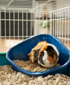 Frisco Corner Litter Box, Navy, Small + Small Animal Bedding, Natural 14 Frisco Corner Litter Box, Navy, Small + Small Animal Bedding, Natural -Dog Cat Corner 301910 PT3. SY630 V1644972417