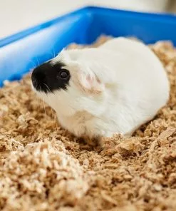 Frisco Corner Litter Box, Navy, Small + Small Animal Bedding, Natural 19 Frisco Corner Litter Box, Navy, Small + Small Animal Bedding, Natural -Dog Cat Corner 301910 PT8. SY630 V1644965804