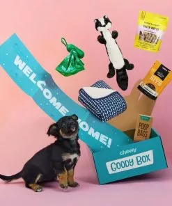 Goody Box||Frisco Goody Box Puppy Toys, Treats & Potty Training + Frisco Extra Large Training & Potty Pads, 28 x 34-in -Dog Cat Corner 301946 PT6. SY630 V1657656678