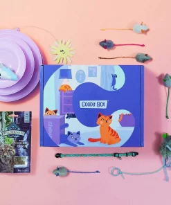 Goody Box||Frisco Goody Box Kitten Toys & Treats + Frisco Multi-Cat Unscented Clumping Clay Cat Litter -Dog Cat Corner 301962 PT2. SY630 V1622820745